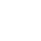 Show Icon