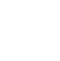 Show Icon