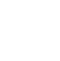 Show Icon