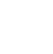 Show Icon