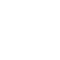 Show Icon